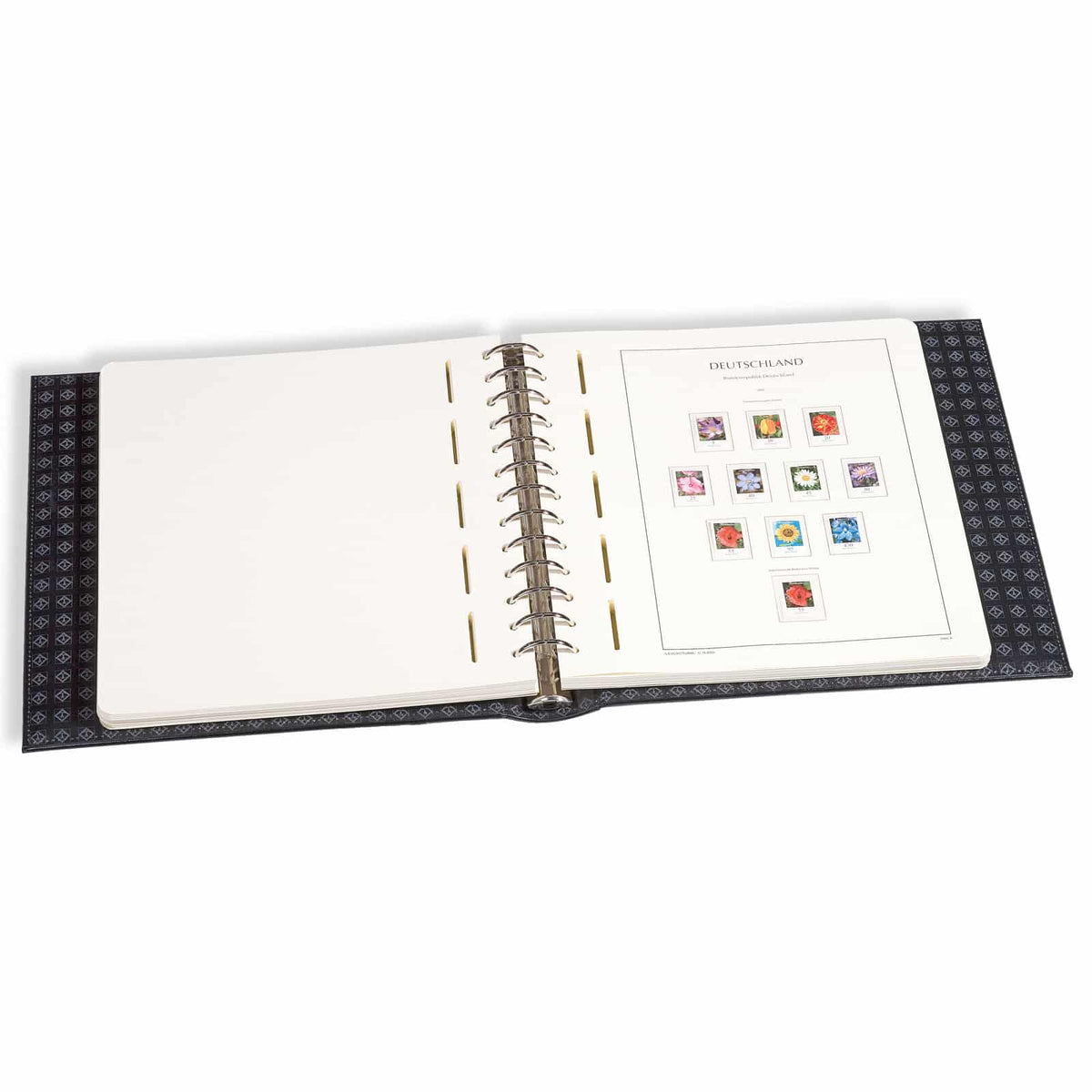LIGHTHOUSE EXCELLENT DE Ring Binder & Slipcase in Classic Design, Green