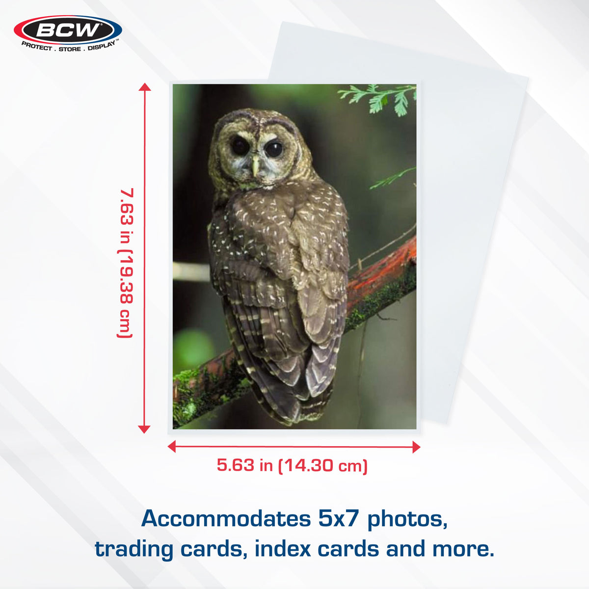 BCW product image — SKU 1-5X7SLV — 1-5X7SLV_Info 2.jpg