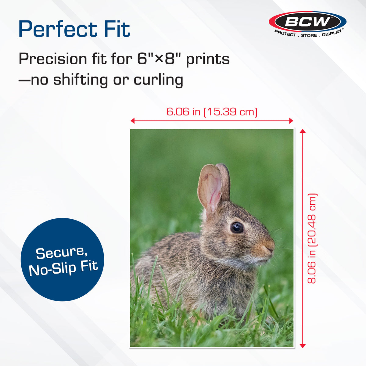 BCW 6 x 8 Photo Sleeves – dimensions and specifications