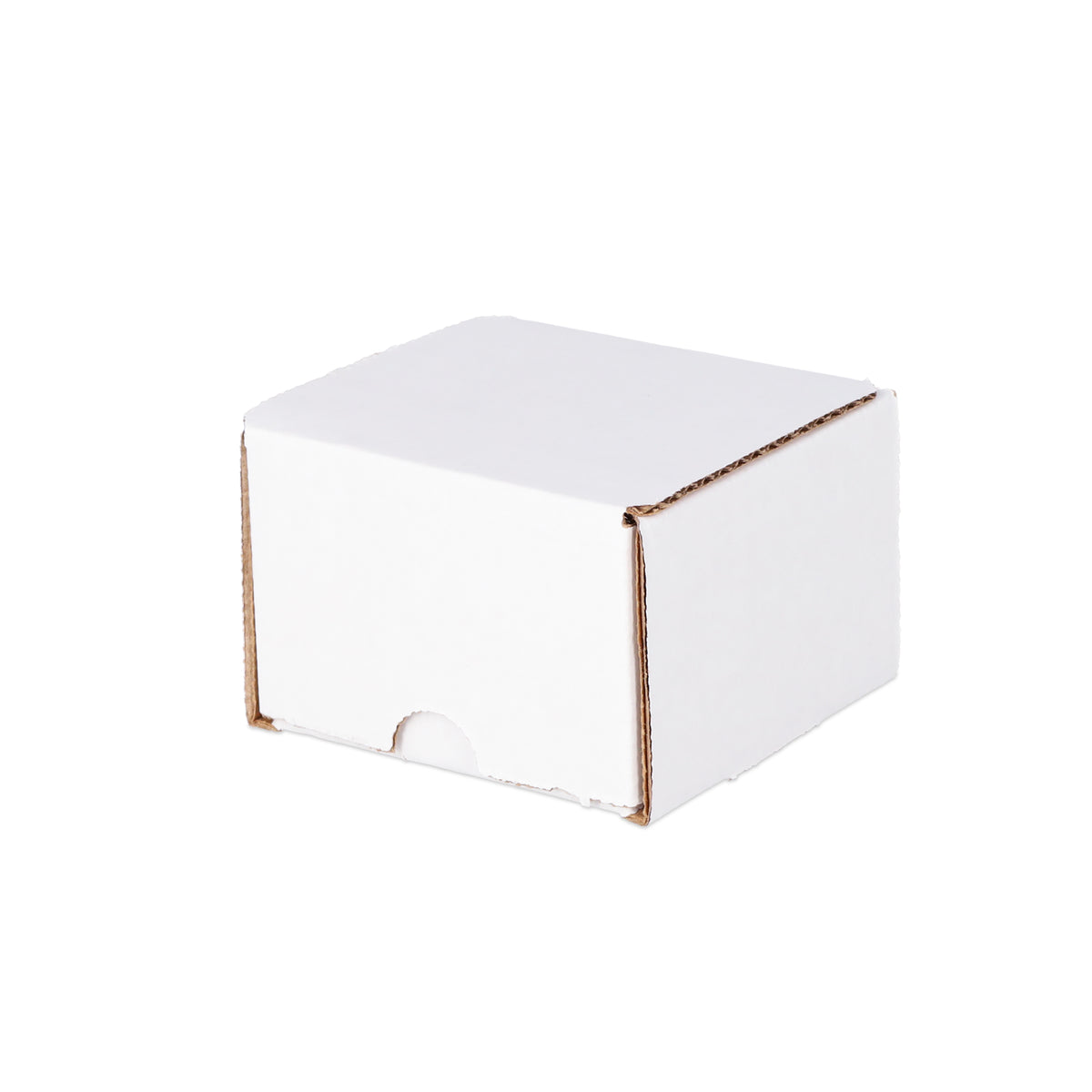 BCW product image — SKU 1-BX-200 — 1-BX-200_10_Turn Closed.jpg