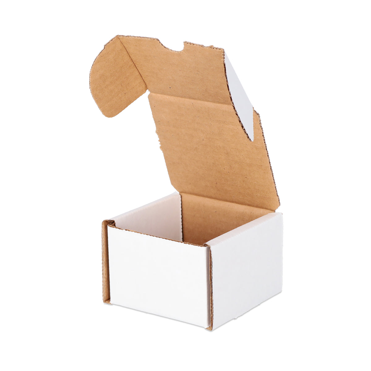 BCW product image — SKU 1-BX-200 — 1-BX-200_12_Turn Open.jpg