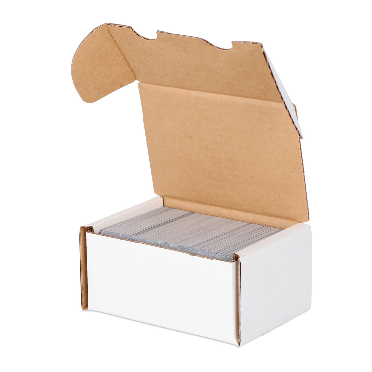 BCW product image — SKU 1-BX-300 — 1-BX-300_11_Turn Full.jpg