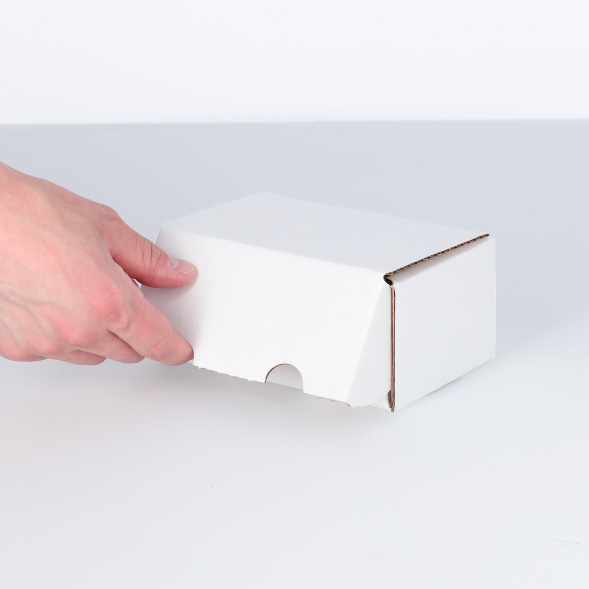 BCW product image — SKU 1-BX-300 — 1-BX-300_7_Hand 2.jpg