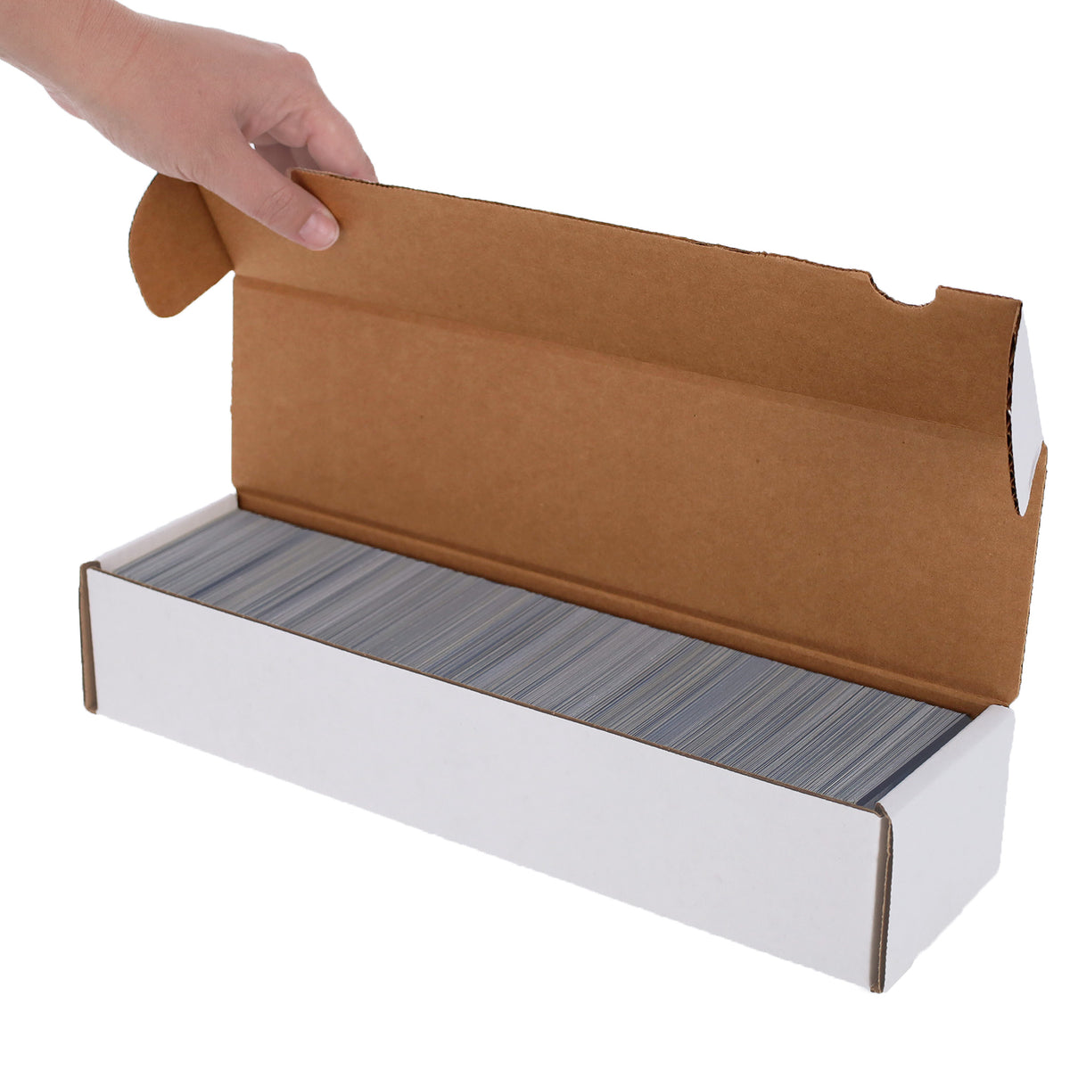 BCW product image — SKU 1-BX-300 — 1-BX-300_hand full open.jpg