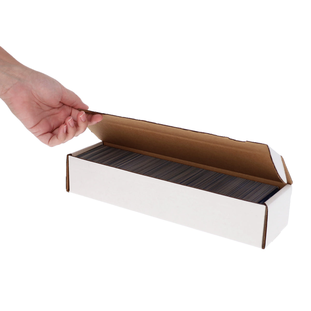 BCW product image — SKU 1-BX-300 — 1-BX-300_hand half closed.jpg