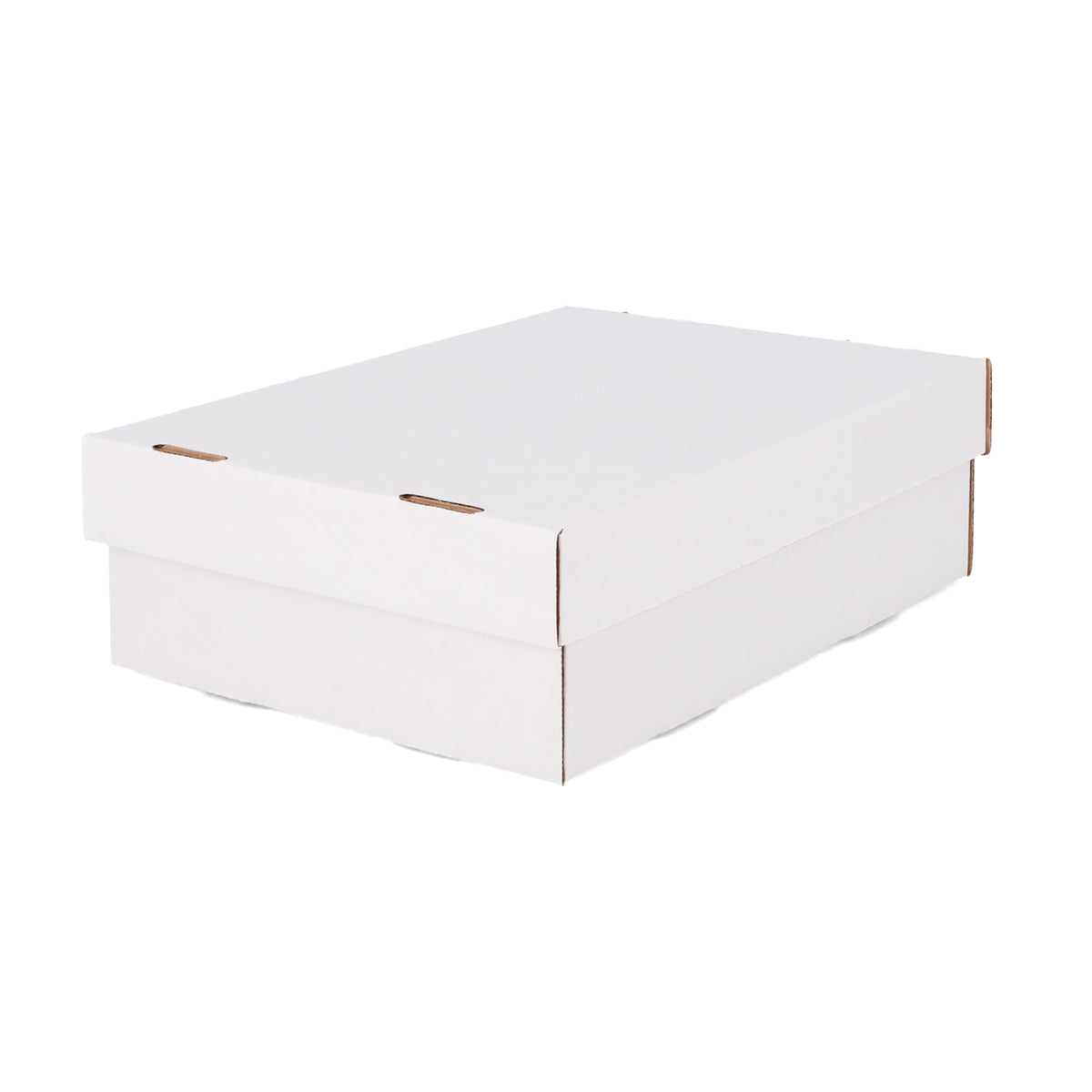 BCW product image — SKU 1-BX-CG6-3X2 — 1-BX-CG6-3X2_20_TURN.jpg
