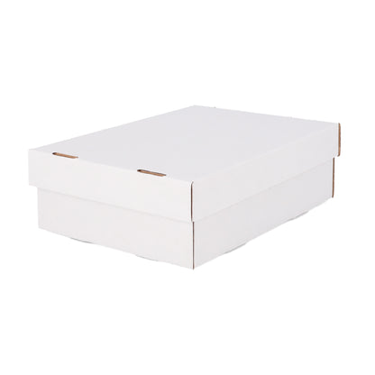 BCW product image — SKU 1-BX-CG6-3X2 — 1-BX-CG6-3X2_20_TURN.jpg