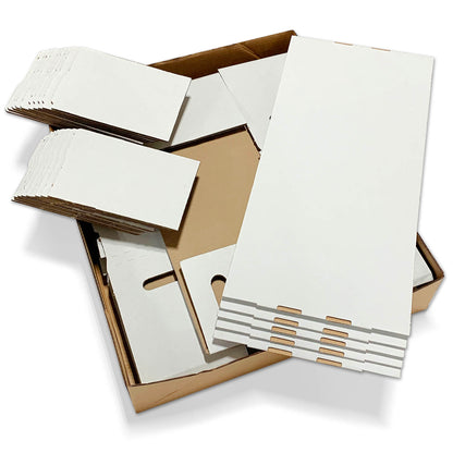 BCW product image — SKU 1-BX-LONG — 1-BX-LONG-FOLD_5_Case5-2000px.jpg