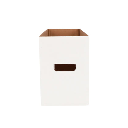 BCW product image — SKU 1-BX-LONG — 1-BX-LONG_6_FRONT OPEN.jpg