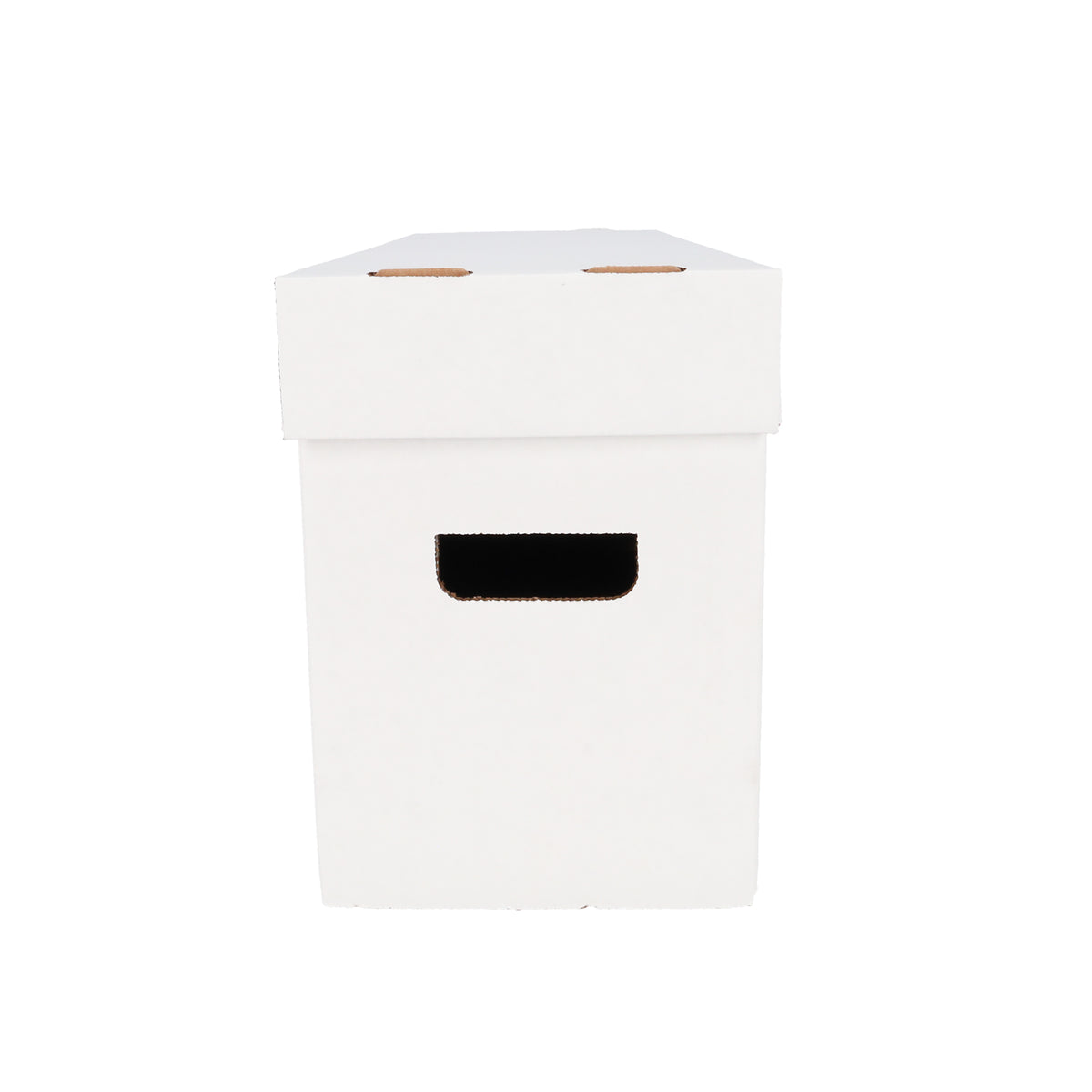 BCW product image — SKU 1-BX-LONG — 1-BX-LONG_7_FRONT.jpg