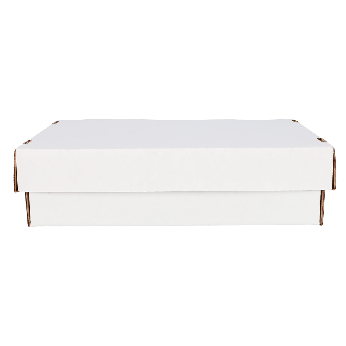 BCW product image — SKU 1-BX-MON — 1-BX-MON_4_SIDE.jpg