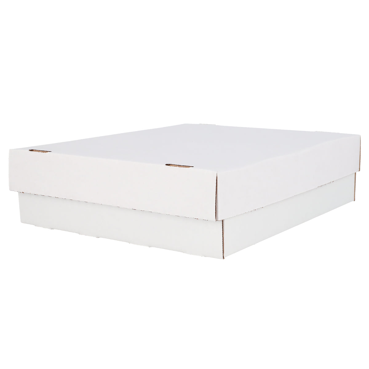 BCW product image — SKU 1-BX-MON — 1-BX-MON_8_TURN.jpg