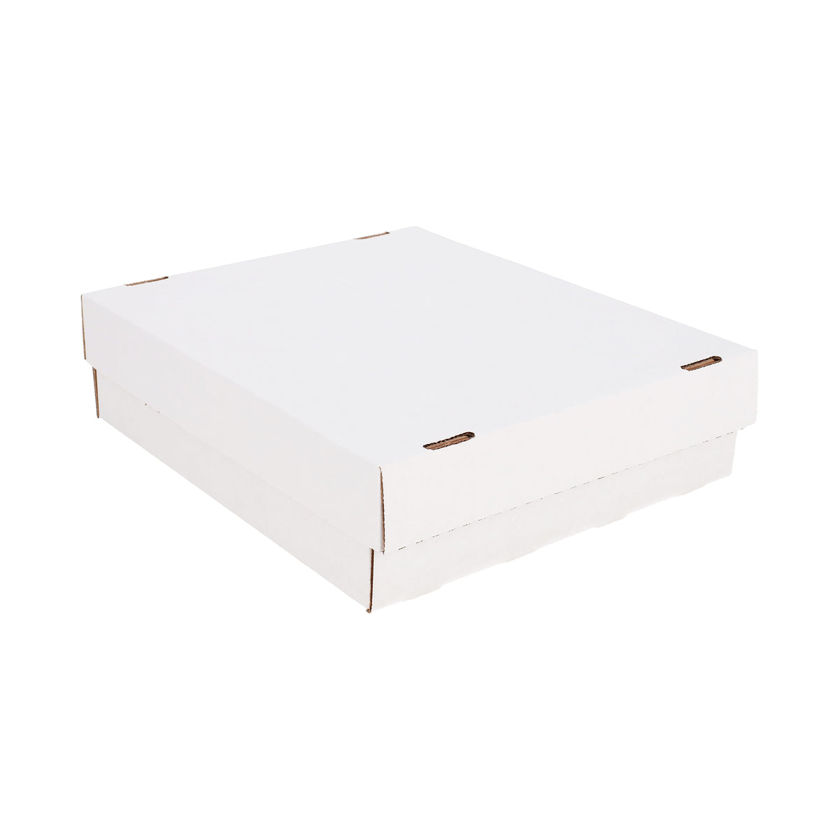 BCW product image — SKU 1-BX-MON — 1-BX-MON_angle.jpg
