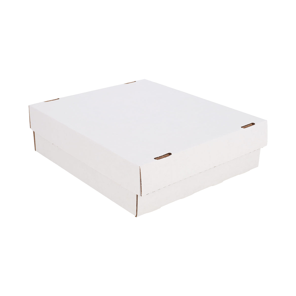 BCW product image — SKU 1-BX-MON — 1-BX-MON_angle2.jpg