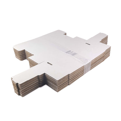 BCW product image — SKU 1-BX-TLCH-14 — 1-BX-TLCH-14_BULK.jpg