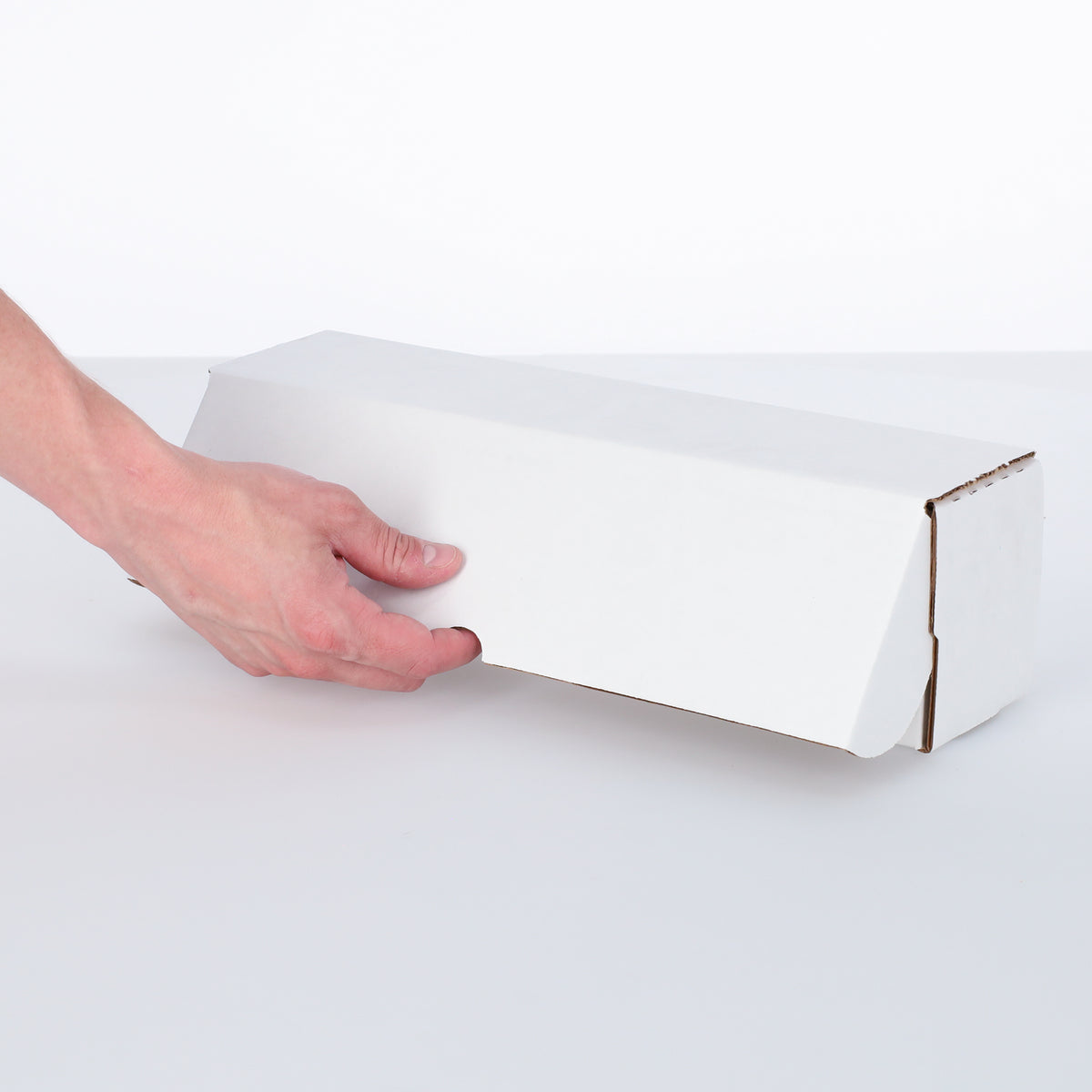 BCW product image — SKU 1-BX-TLCH-14 — 1-BX-TLCH-14_HAND 2.jpg