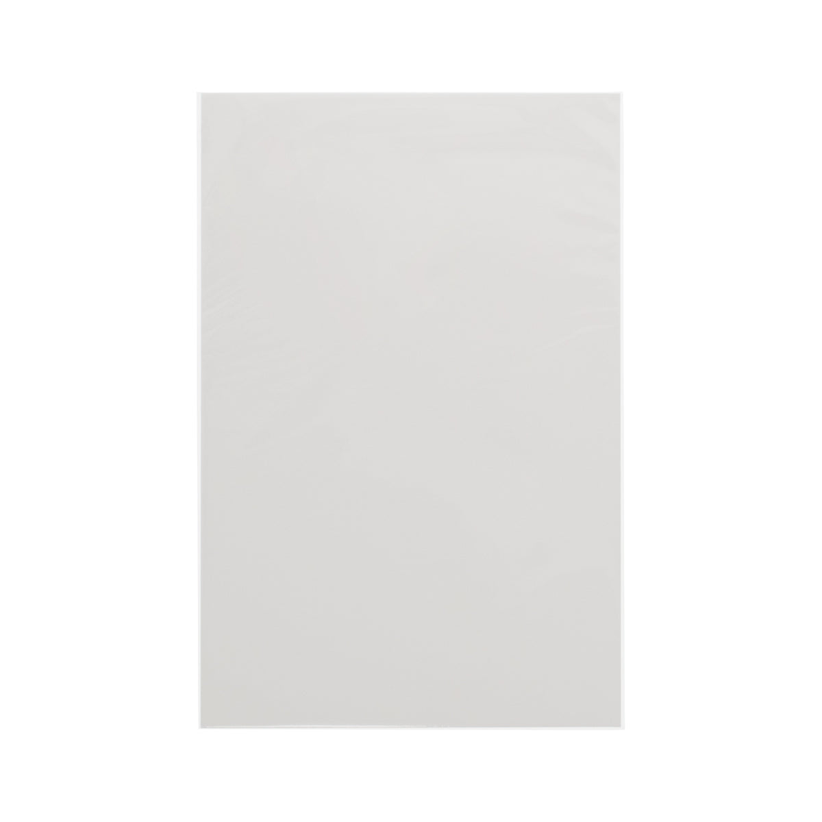 BCW Premade Resealable Current Comic Bag and Board – front product view