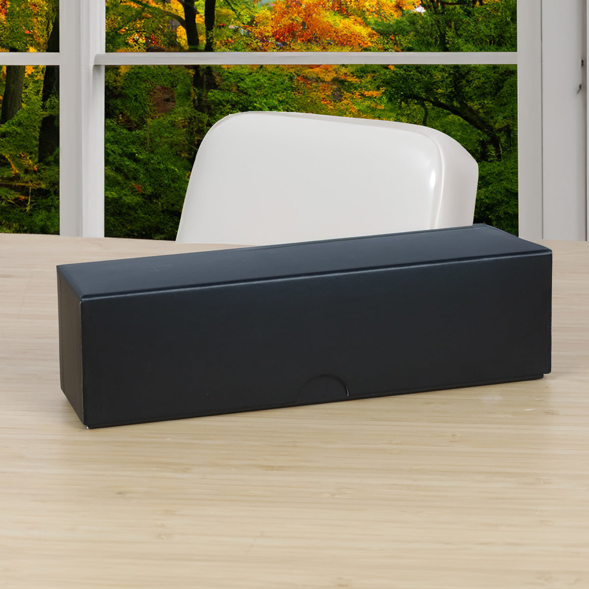 BCW product image — SKU 1-DS-BOX — 1-DS-BOX_lifestyle4.jpg