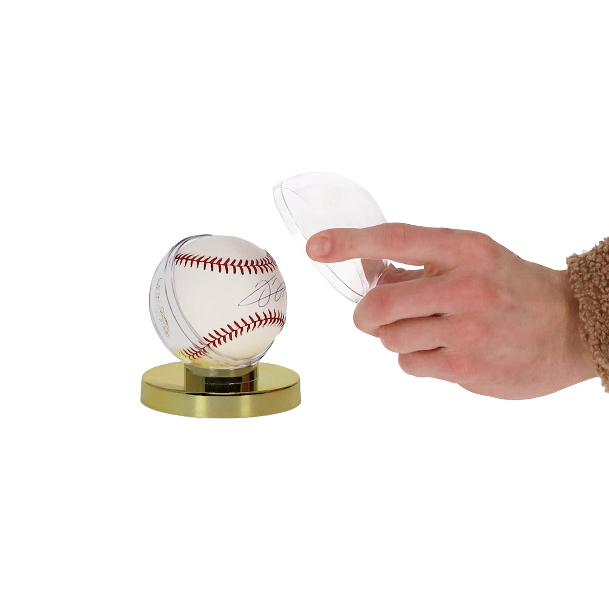 BCW Gold Base Baseball Holder – in-use view