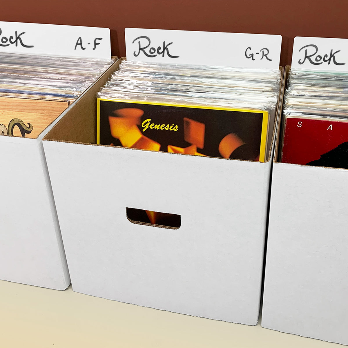 BCW 12-Inch Record Divider - Tall - White – front product view