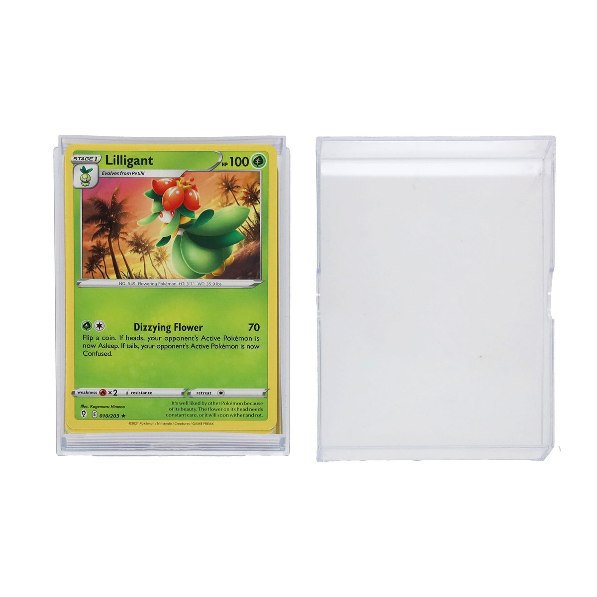 BCW 2-Piece Slider Box - 35 Count – open view