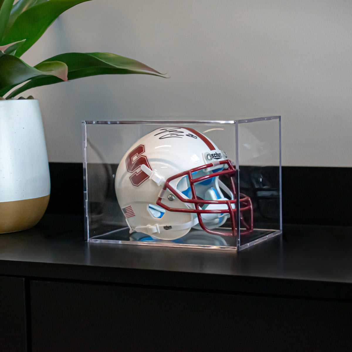 BCW Mini Helmet Showcase - UV – in-use view