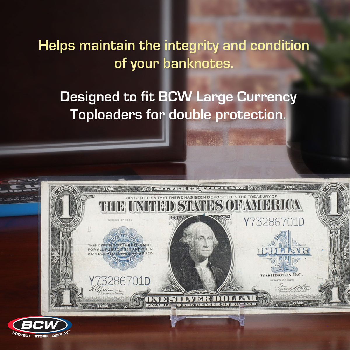 BCW Currency Sleeves - Large Bill – dimensions and specifications