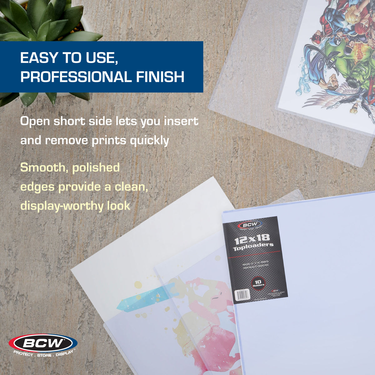 BCW 12 × 18 Rigid Poster and Photo Protector – dimensions and specifications