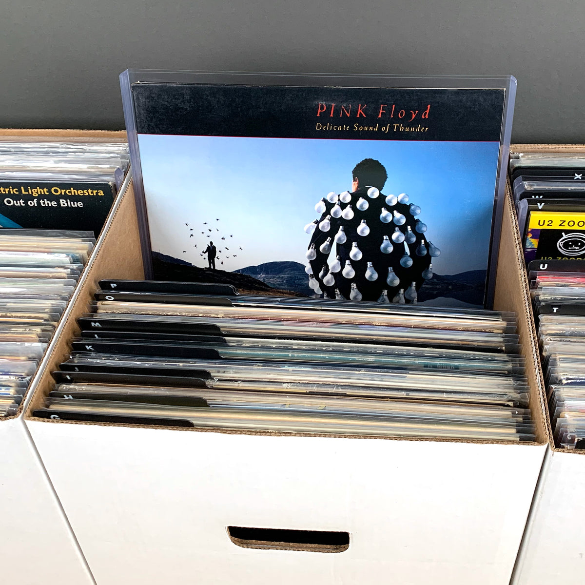 BCW Rigid Vinyl Record Protector – Snug Fit – 11 mm – front product view