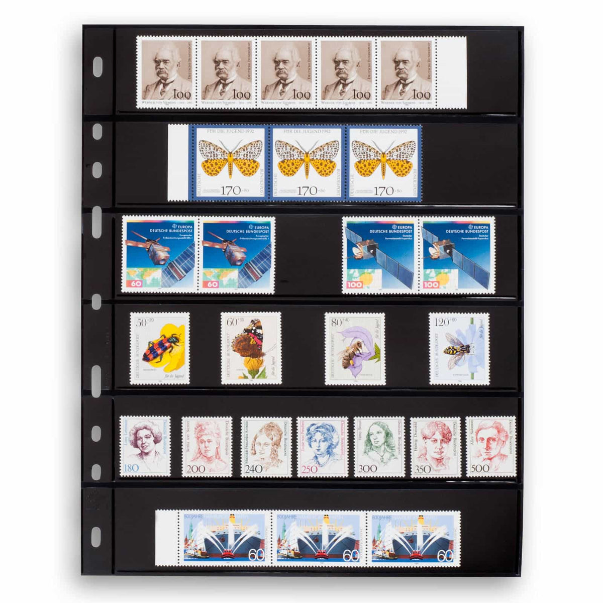 Plastic pockets OPTIMA, 6-waydivision, black- double sided