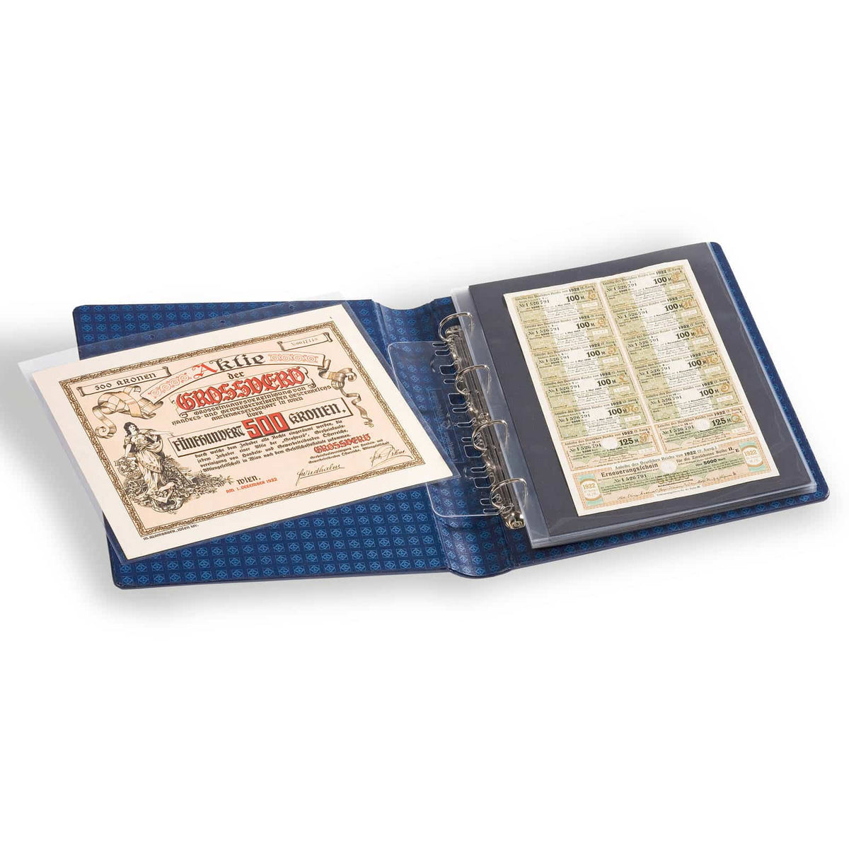 Plastic Pockets FOLIO, 2-way division, clear