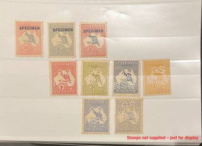 HAWID C6 White Stockcards 3 strip (100)