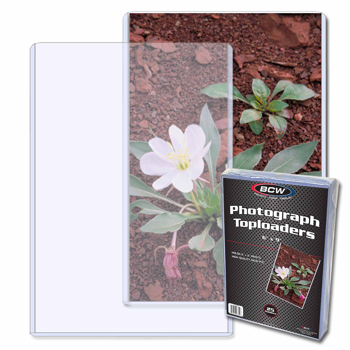 BCW 6 × 9 Rigid Photo Protector – product image 1